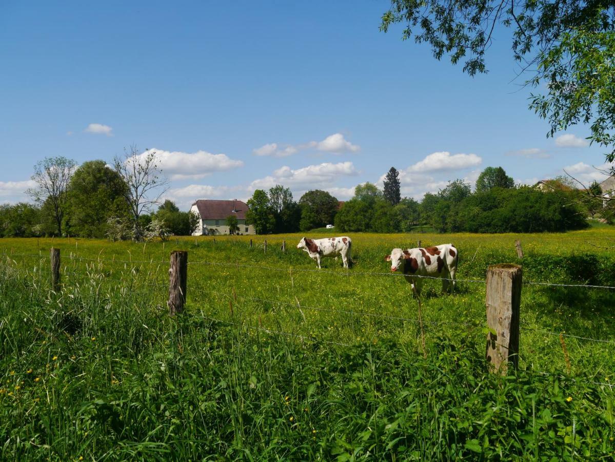 La Maison Au Vert Melincourt Buitenkant foto